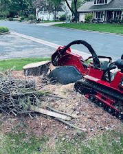 Grinding out a tree stump